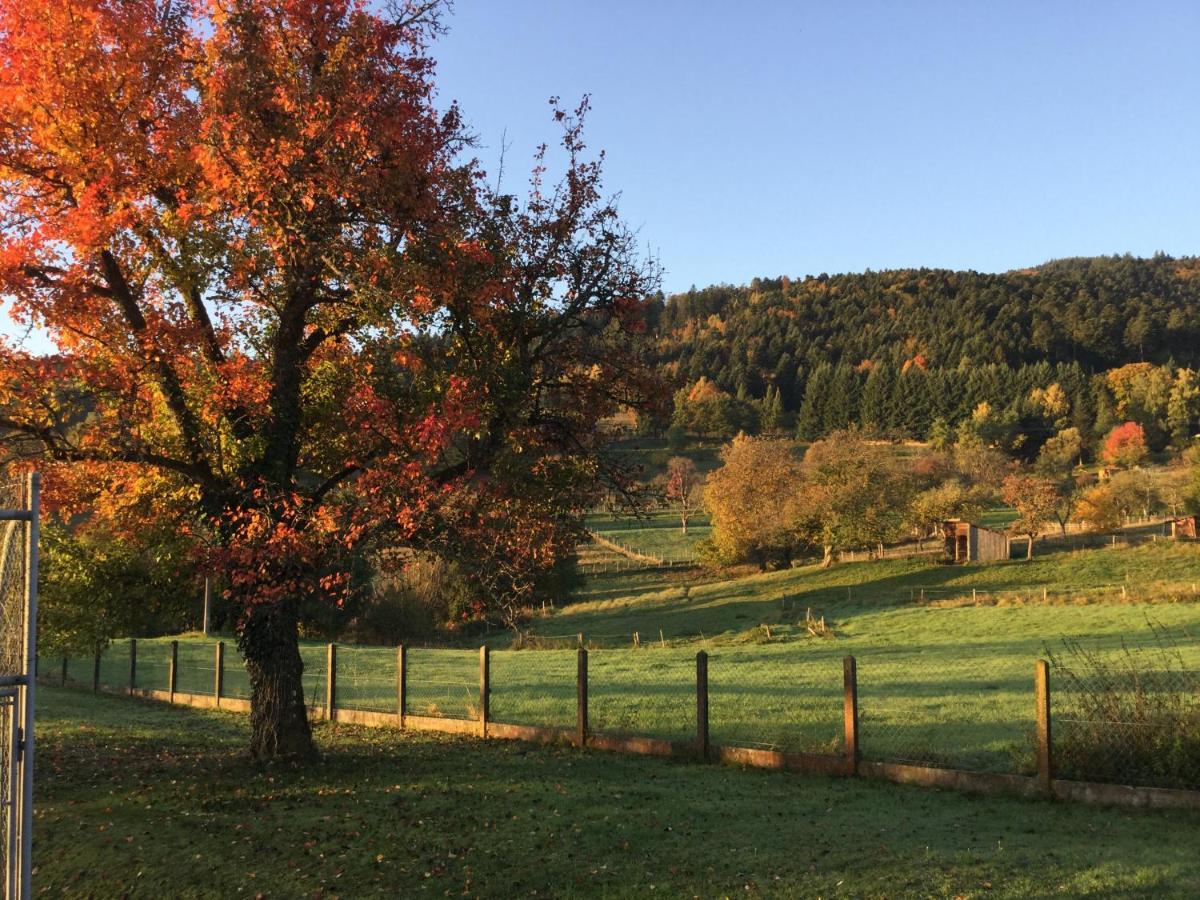 Gite Leonline Sur Les Hauteurs De Masevaux -Au Pied Des Vosges Екстер'єр фото