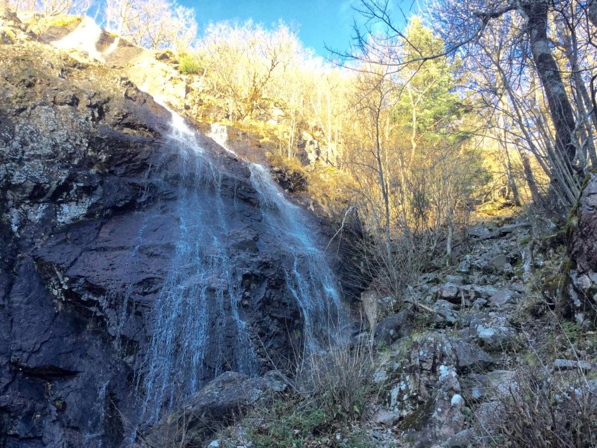 Gite Leonline Sur Les Hauteurs De Masevaux -Au Pied Des Vosges Екстер'єр фото