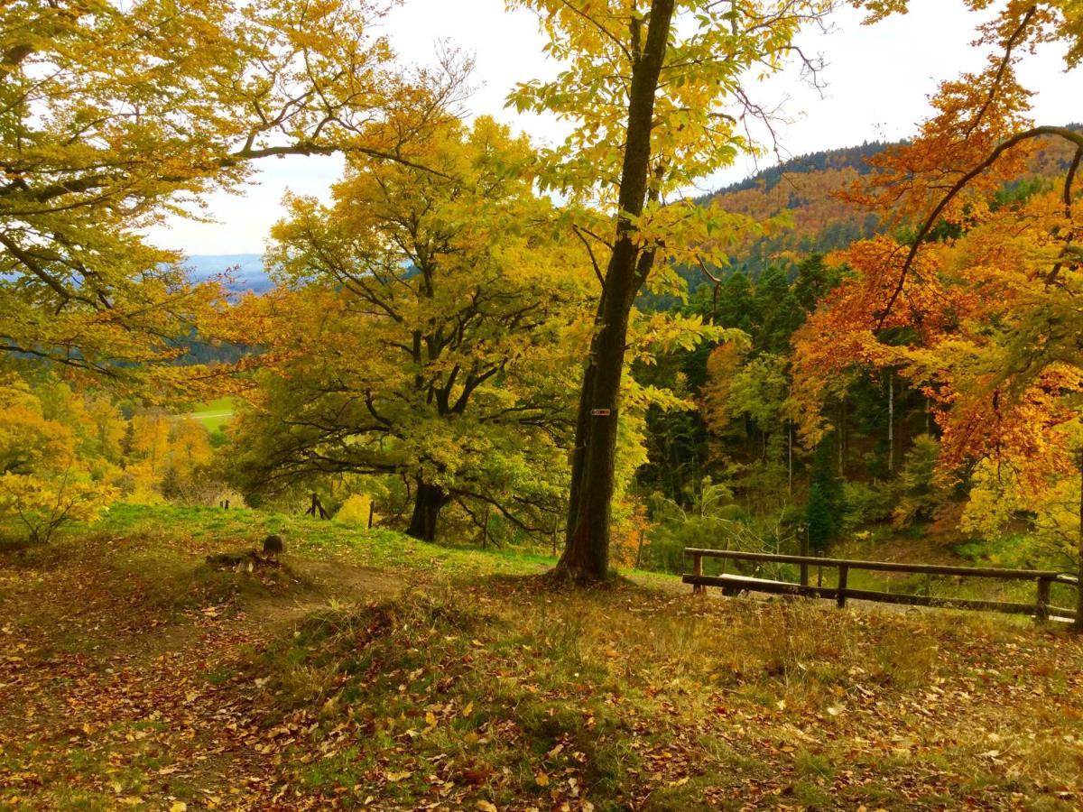 Gite Leonline Sur Les Hauteurs De Masevaux -Au Pied Des Vosges Екстер'єр фото