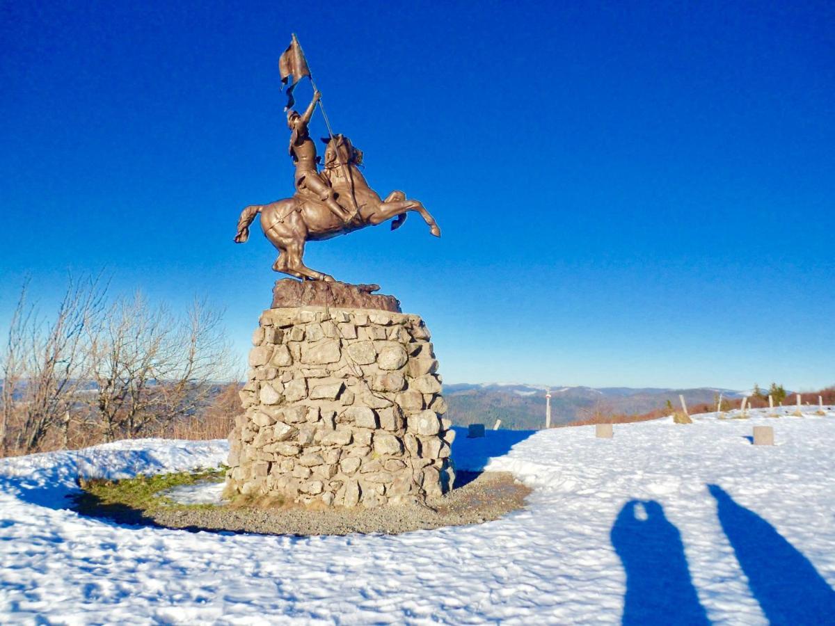 Gite Leonline Sur Les Hauteurs De Masevaux -Au Pied Des Vosges Екстер'єр фото